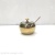 Stainless Steel Gold 304 Glass Cover Condiment Dispenser Kitchen Seasoning Set