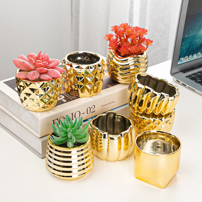 Creative Electroplating Succulent Flower Pot Home Office Desktop Pot Ceramic Succulent Flower Pot Vase Decoration