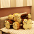 Cartoon Simulation Toast Bread Long Pillow Plush Toy Stall Wholesale Prize Claw Doll Gift Cross-Border Foreign Trade