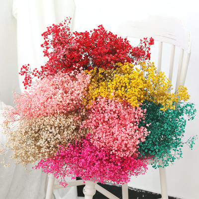 400G Big Bunch of Starry Sky Dried Flowers Home Decoration Preserved Fresh Babysbreath Bouquet Dried Flowers Accessories Starry Sky