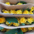 Base Wholesale Wedding Flower Flower Shop Flower Community Group Purchase Stall Flower Household Flower Arrangement