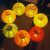 Luminous Chinese Lantern Mid-Autumn Festival Lantern Festival Kindergarten Dance Props Hand-Painted Chinese Lantern