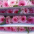 Base Wholesale Wedding Flower Flower Shop Flower Community Group Purchase Stall Flower Household Flower Arrangement