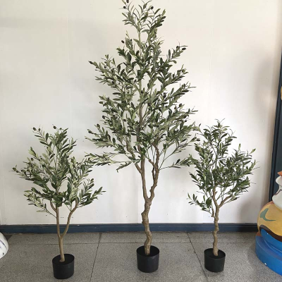 on olive tree plant potted decoration homestay soft landscape