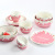 BT5 Original Girl Heart Deep Pink Strawberry Tableware Cute Ceramic Salad Bowl Breakfast Cup Dessert Shallow Plate