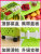 Kitchen Shelf Floor Multi Layer Products Utensils Small Supplies Fruit and Vegetable Basket Plastic Storage Basket Shelf