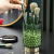 Creative Desktop Small Makeup Brush Storage Tube Household Affordable Luxury Style Multi-Functional Pen Holder Bedroom Transparent Storage Box