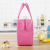 New Cartoon Insulated Bag Lunch Bag Tote Bag Picnic Ice Pack Animal Oxford Storage Bag Portable Lunch Box Bag