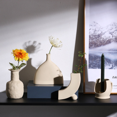 Vase Dried Flower Decorative Ornament Creative Home Homestay Living Room Flower Arrangement Small Vase Plain Embryo