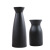 Nordic Black and White Ceramic Vase Decoration Desktop Flowers Flower Container Home Ornament TV Cabinet Decoration