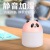 USB Colorful Gradient Romantic Ambience Light Nano Delicate Spray for Office and Car Household Portable Cute Pet Humidifier