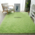 Plain Silk Wool Living Room Carpet Bedroom Fully Covered Plush Mats Home Indoor Mat