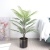 Artificial  Indoor Green Home Decoration Green Plant Simulation Needle Sunflower Areca Palm Software Decoration