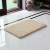 Simple Solid Color Bedroom Living Room Carpet Polyester Non-Slip Absorbent Floor Mat Bathroom Toilet Entrance Floor Mat Wholesale