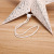 Christmas Decorations Handmade 30cm Gold Powder Five-Pointed Star Shopping Window Christmas Decoration Five-Pointed Star Pendant