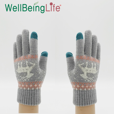 Women's Autumn and Winter Knitted Gloves Cute Sika Deer Wool Cold-Proof Warm with Velvet Touch Screen Gloves