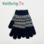 Unisex Autumn and Winter Knitted Gloves Snowflake Wool Cold-Proof Warm with Velvet Touch Screen Gloves