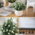 Artificial Flower set plastic flowers bonsai