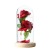 Preserved Fresh Flower Gift Qixi Valentine's Day Christmas Creative Gift Glass Cover Rose Decoration Manufacturer Amazon