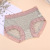 Exclusive for Cross-Border Exquisite Lace Underwear Women's Cotton Crotch Mid Waist Girl Breathable Women's French Briefs Thin