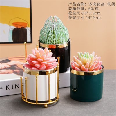 Succulent Flower Pot Ceramic Pottery Creative Indoor Succulent Small Flower Pot Combination Wholesale