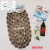 Jiamei Transparent Shell Shape Suction Cup Pad Bathroom Non-Slip Mat Bathtub Anti-Fall Foot Mat PVC Soft Floor Mat