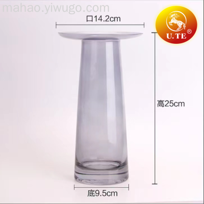 Flat Glass Vase Dried Flower Plug-in