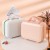 13-Inch 14-Inch Gift Box Handbag Small Cosmetic Case Storage Box Laser Printed Logo Sample Available