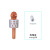 Cross-Border English Version 858 Microphone Audio Integrated Singing Wireless Bluetooth Gadget for Singing Songs Wholesale