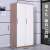 Disassembly Wardrobe Office Data Cabinet with Lock Document Cabinet Iron Locker Financial Certificate Cabinet Steel Low Cabinet