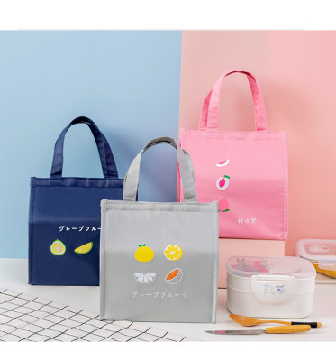 New Fashion Simple Large Capacity Fresh Fruit Colorful Picnic Insulated Bag Lunch Bag Lunch Box Bag Wholesale