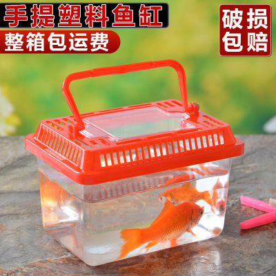 Large, Medium and Small Plastic Turtle Jar Fish Globe Crawler Feeding Pet Box Portable Transparent Transport Box Turtle Box