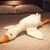 New Cartoon Internet Celebrity Big White Geese Doll Pillow Plush Toy Child Comfort Big Goose Duck Doll