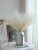 Sili Wind Reed Grass Artificial/Fake Flower Dried Flower Indoor Flower Arrangement Decoration Ins Nordic Homestay Decorations