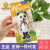 Singapore Bai Lijie Pearlie White Children's Toothbrush Baby Soft Hair Training Toothbrush 2-3-6-12 Years Old