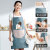 Apron Household Kitchen Summer Women's Waterproof and Oil-Proof Overalls Wholesale Cooking Apron Internet Celebrity 
