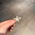 Korean Style New Pearl Small Hair Clip Simple Elegant Mini Clamp Hairpin Girl Bang Clip Hair