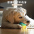 Amazon New Pet Gnawing Food Dropping Ball Sound Training Molars Teeth Cleaning Dog Toothbrush Throwing Pet Dog Toy