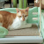 Cat Litter Four Seasons Universal Novelty Cat Toy Cat Scratch Board Wooden Cat Teaser Multi-Functional Pet Bed Cat Bed Cat Sofa
