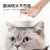 Duogus New Pet UV Sterilization Comb Dog Cat Automatic Knot Steel Needle Comb USB Charger