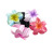 Cross-Border Amazon Hot Sale Candy Color Flower Hair Clip Transparent Colorful Hairpin Back Head Hair Claw Hair Clip Hair