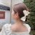 Alloy Fabric Grip Big Bow Hairpin Metal Label Hairpin Large Back Head Hair Claw Internet Celebrity Shark Clip