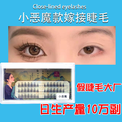 Eyelash Processing Customized Popular Little Devil False Eyelashes Segment Self-Grafting Big Eye Curling Eyelash Female