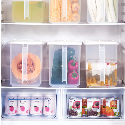 Refrigerator Preservation Storage Box