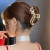 Popular Factory Personalized Large High Sense Grip Golden Fox 2022 New Updo Shark Clip Hairware Female