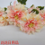 Artificial/Fake Flower Bonsai Single Branch Flower Living Room Dining Room Bar Counter and Other Tables Ornaments