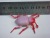 Low Price Supply Beetle Model, Science and Education Supplies, Plastic Toys