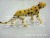 Low Price Supply Plastic Animal Model Simulation Sheep Sand Table Decoration Science and Education Cognitive Toys Other Accessories