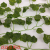 Artificial/Fake Flower Bonsai Wall Hanging Grape Leaves Dining Room/Living Room Balcony and Other Pendant Products