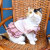 Fresh Plaid Princess Dress Cat Skirt